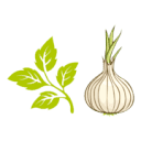 Ajoyoregano logo