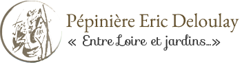 Aromatiques logo