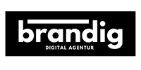 Brandig logo