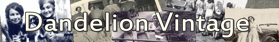 Dandelionvintage logo