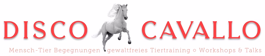 Discocavallo logo