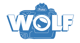 Foto Wolf Dresden logo