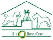 Ilcollaredoro logo