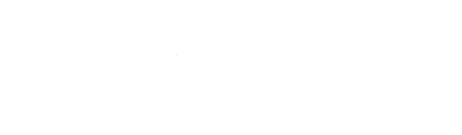 Mbt Store logo