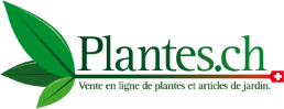 Plantes logo