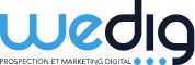 Wedig logo