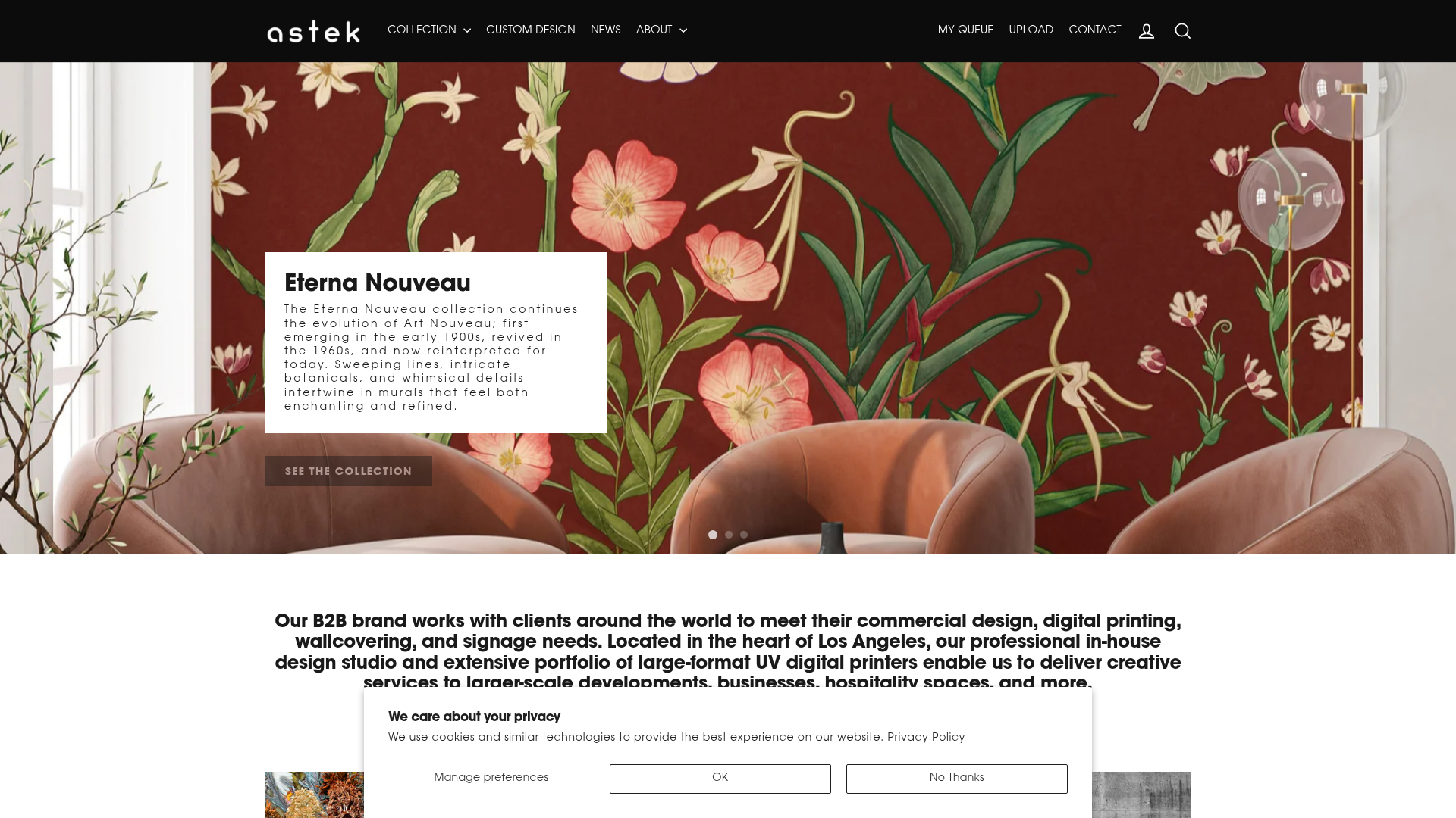 Astek website screenshot