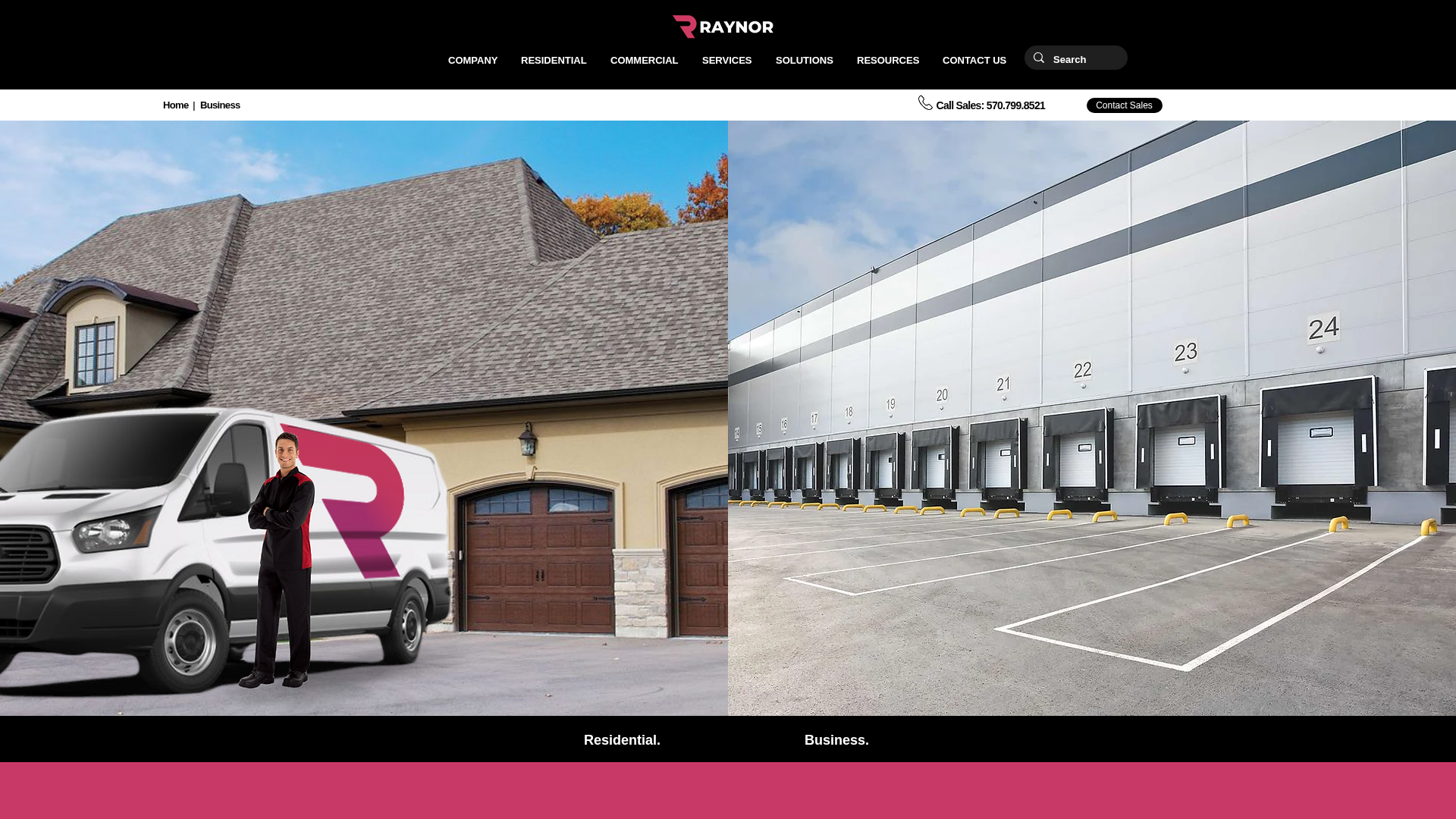 Raynorinc website screenshot